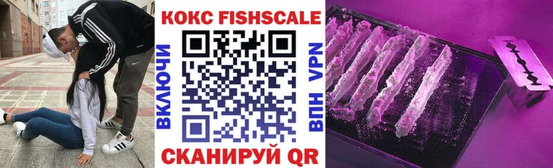 купить  цена  Нижняя Тура  COCAIN FishScale 