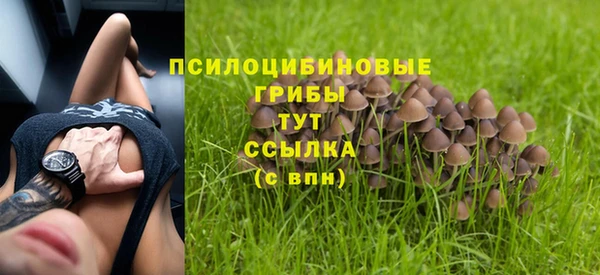 дмт Нея