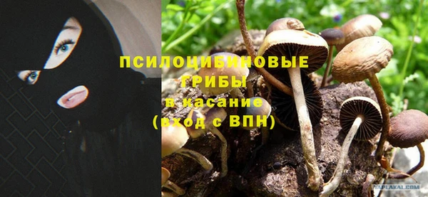 дмт Нея