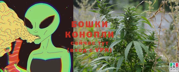 сатива Нефтекумск