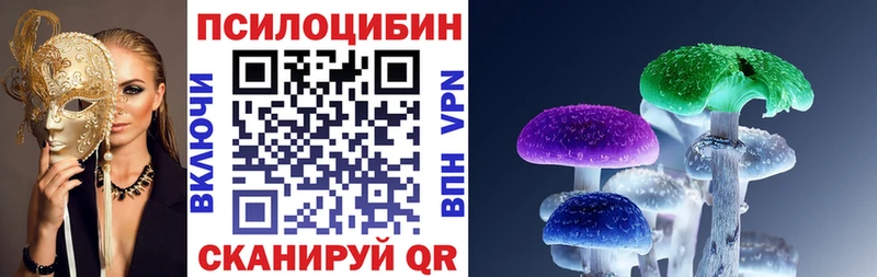 Галлюциногенные грибы Psilocybe  гидра сайт  Нижняя Тура 